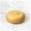 GOUDA YOUNG 4.5KG